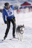 Lenk 2013